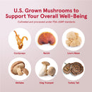 Jarrow Formulas Energy Optimizer 90 Veggie Caps - Mushrooms & Adaptogens - DailyVita