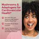 Jarrow Formulas Cardiovascular Optimizer 120 Veggie Caps - Mushrooms & Adaptogens - DailyVita