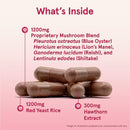 Jarrow Formulas Cardiovascular Optimizer 120 Veggie Caps - Mushrooms & Adaptogens - DailyVita