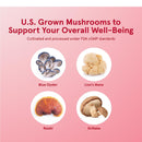 Jarrow Formulas Cardiovascular Optimizer 120 Veggie Caps - Mushrooms & Adaptogens - DailyVita