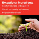 Vibrant Health Krebs Zinc, 60 vegetable capsules - DailyVita