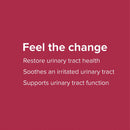 CLEARANCE! Vibrant Health U.T. Vibrance Stick Pack Assembly, 10 per box, BEST BY 12/2025 - DailyVita