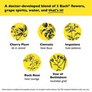 Bach Rescue Remedy Kids Natural Stress Relief Dropper 0.35 fl oz