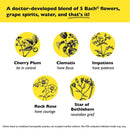 CLEARANCE! Bach Rescue Remedy Kids Natural Stress Relief Dropper 0.35 fl oz, Outer Box Missing or Damaged - DailyVita