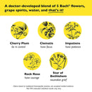 Bach RESCUE REMEDY Dropper, Natural Stress Relief, 0.35 fl oz (10mL)