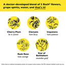 Bach RESCUE REMEDY Spray, Natural Stress Relief, 0.7 fl oz (20mL)