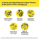 Bach RESCUE REMEDY Spray, Natural Stress Relief, 0.245 fl oz (7mL)