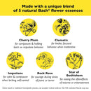 Bach RESCUE REMEDY Pet Dropper, Natural Stress Relief 0.35 fl oz (10mL)