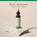 Bach Original Flower Remedies Agrimony Communicate Openly