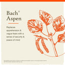 Bach Original Flower Remedies Aspen, Feel Secure 0.7 fl. oz. (20mL) - DailyVita