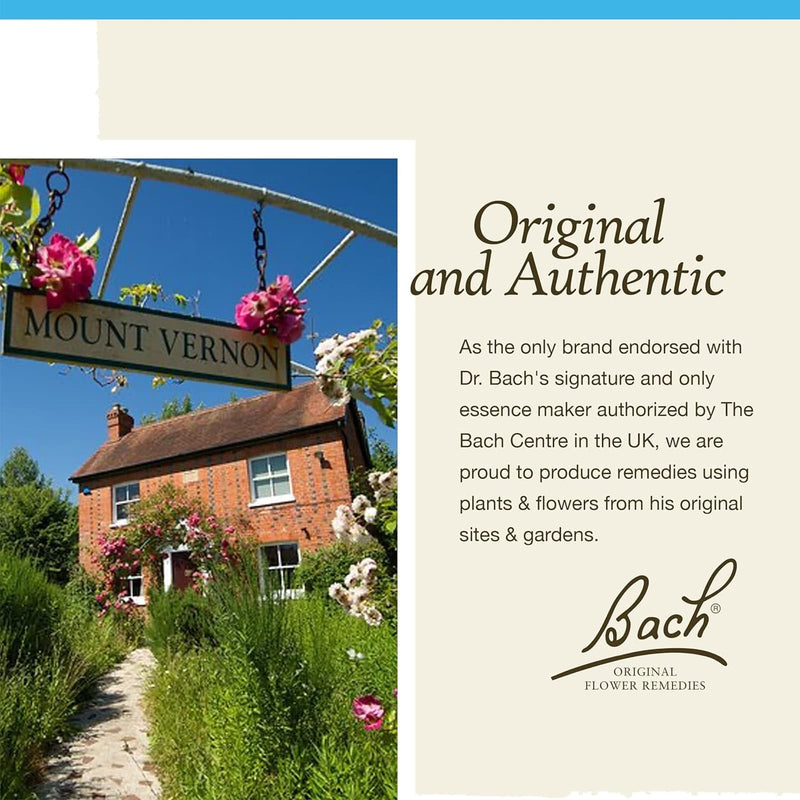 Bach Original Flower Remedies Beech