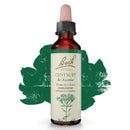 Bach Original Flower Remedies Agrimony Communicate Openly