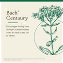 Bach Original Flower Remedies Centaury, Be Assertive 0.7 fl. oz. (20mL) - DailyVita