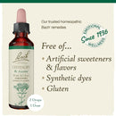 Bach Original Flower Remedies Centaury, Be Assertive 0.7 fl. oz. (20mL) - DailyVita