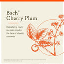 Bach Original Flower Remedies Cherry Plum, Be In Control