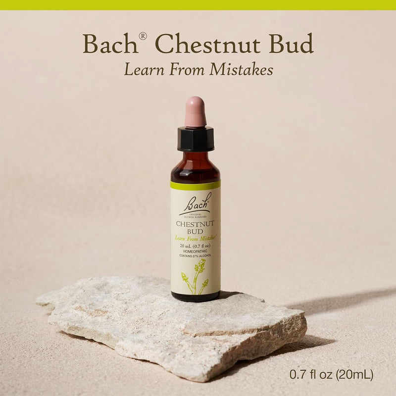 Bach Original Flower Remedies Chestnut Bud, Learn From Mistakes 0.7 fl. oz. (20mL)