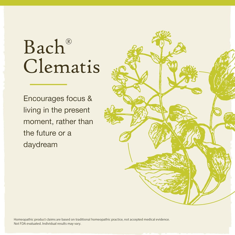 Bach Original Flower Remedies Clematis, Have Focus 0.7 fl. oz. (20mL)