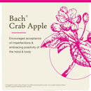 Bach Original Flower Remedies Crab Apple, Accept Imperfections