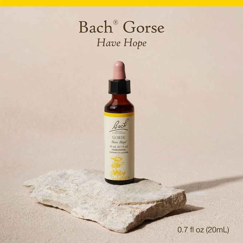 Bach Original Flower Remedies Gorse, Have Hope 0.7 fl. oz. (20mL) - DailyVita