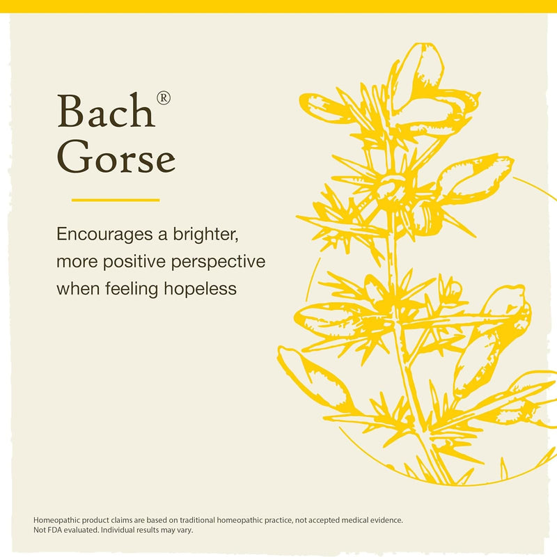 Bach Original Flower Remedies Gorse, Have Hope 0.7 fl. oz. (20mL)