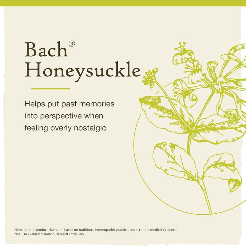 Bach Original Flower Remedies Honeysuckle, Embrace The Now 0.7 fl. oz. (20mL)