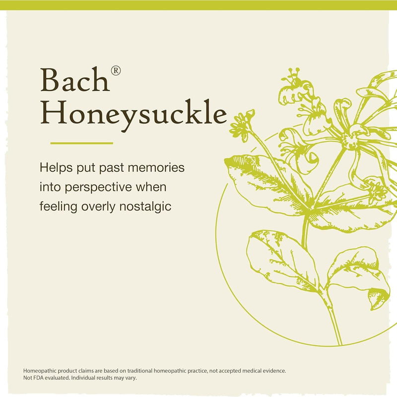 Bach Original Flower Remedies Honeysuckle, Embrace The Now 0.7 fl. oz. (20mL) - DailyVita