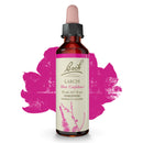 Bach Original Flower Remedies Larch, Have Confidence 0.7 fl. oz. (20mL)