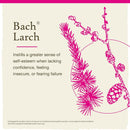 Bach Original Flower Remedies Larch, Have Confidence 0.7 fl. oz. (20mL)