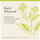 Bach Original Flower Remedies Mustard, Be Joyful 0.7 fl. oz. (20mL)