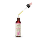 Bach Original Flower Remedies Oak, Restore Endurance 0.7 fl. oz. (20mL) - DailyVita