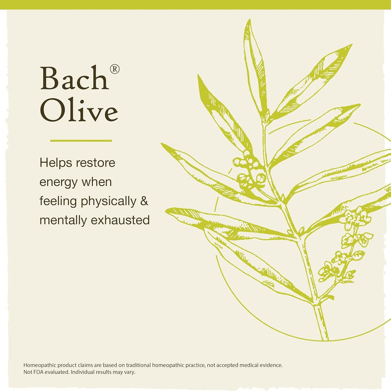 Bach Original Flower Remedies Olive, Restore Energy 0.7 fl. oz. (20mL) - DailyVita