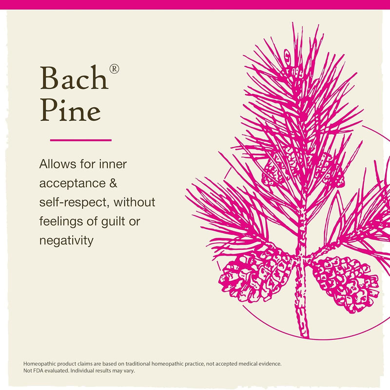 Bach Original Flower Remedies Pine, Have Self Respect 0.7 fl oz. (20mL)