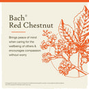 Bach Original Flower Remedies Red Chestnut, Peace of Of Mind 0.7 fl. oz. (20mL)
