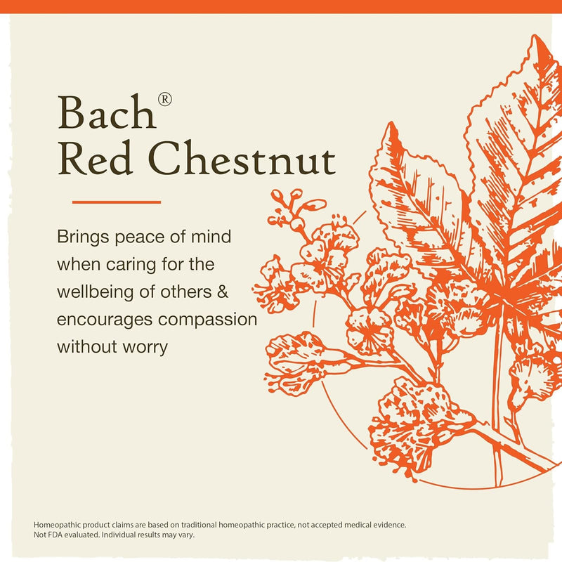 Bach Original Flower Remedies Red Chestnut, Peace of Of Mind 0.7 fl. oz. (20mL)