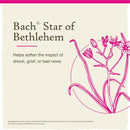 Bach Original Flower Remedies Star Of Bethlehem, Neutralize Grief 0.7 fl. oz. (20mL)