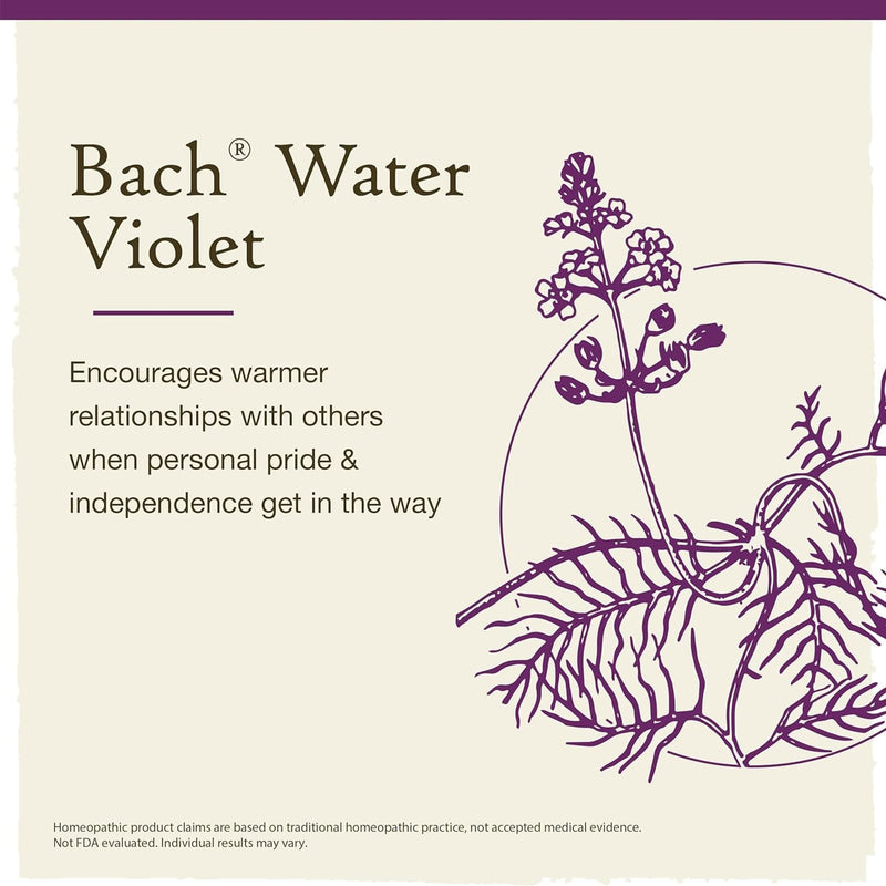 Bach Original Flower Remedies Water Violet, Connect With Others 0.7 fl. oz. (20mL)