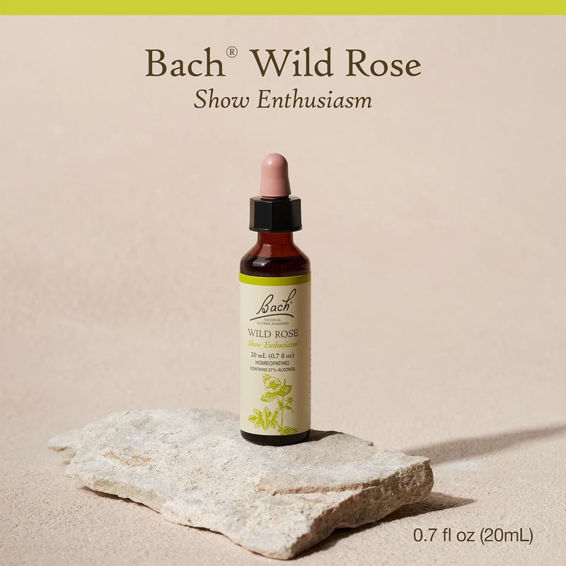 Bach Original Flower Remedies Wild Rose, Show Enthusiasm 0.7 fl. oz. (20mL)