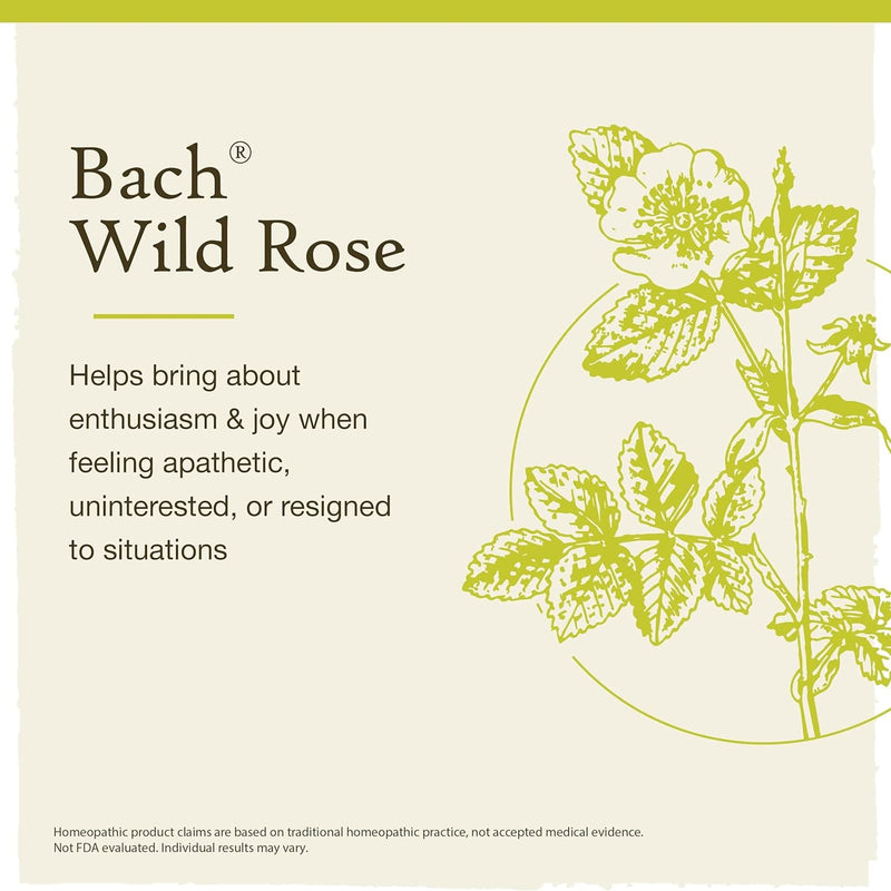 Bach Original Flower Remedies Wild Rose, Show Enthusiasm 0.7 fl. oz. (20mL)