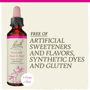 Bach Original Flower Remedies Willow, Forgive & Forget 0.7 fl. oz. (20mL)