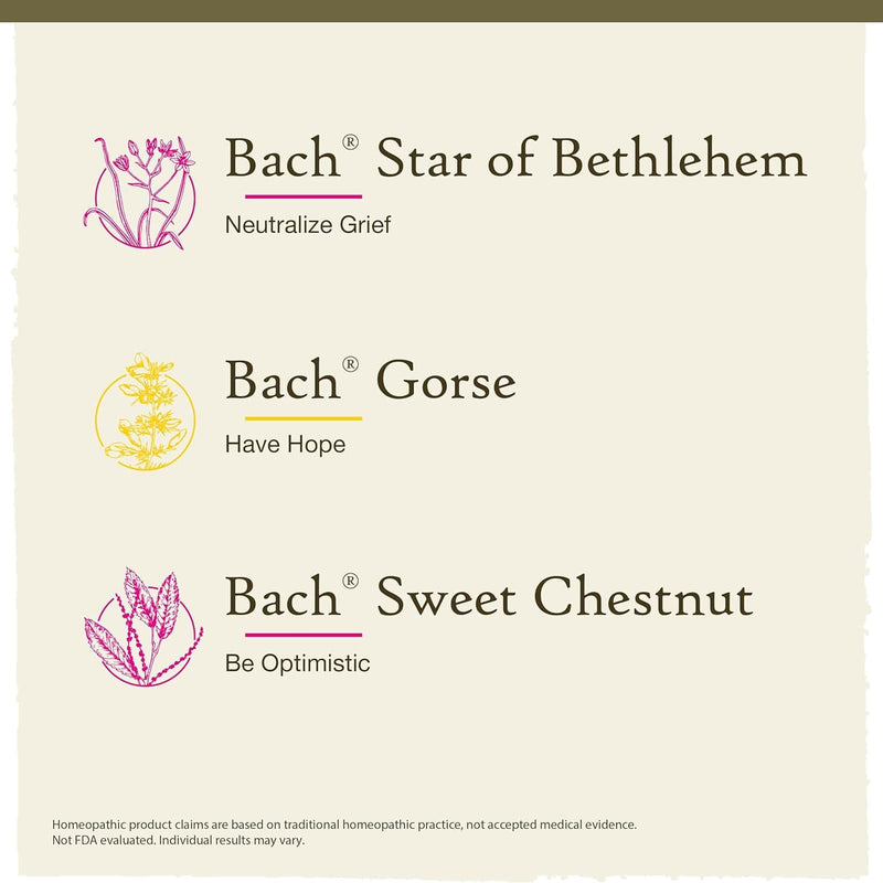 Bach Original Flower Remedies Hope & Joy Comfort Kit: Star of Bethlehem, Gorse, Sweet Chestnut 0.7 fl. oz. ea. (20mL ea.)