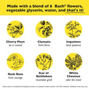 Bach Rescue Sleep Kids Natural Sleep Aid Dropper 0.35 fl oz