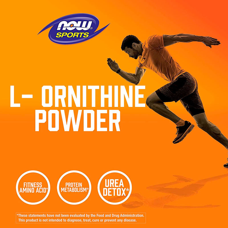 CLEARANCE! NOW Foods L- Ornithine 8 oz Powder, BEST BY 07/2024 - DailyVita