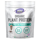 Now Foods Plant Protein Organic Creamy Chocolate Powder - 12 lbs - DailyVita
