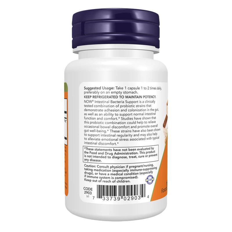 Now Foods Intestinal Bacteria Support - 60 Veg Capsules - DailyVita