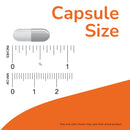 Now Foods Intestinal Bacteria Support - 60 Veg Capsules - DailyVita