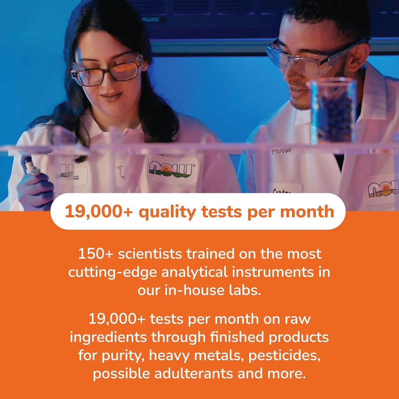 Now Foods Intestinal Bacteria Support - 60 Veg Capsules - DailyVita