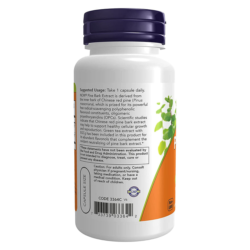 CLEARANCE! NOW Foods Pine Bark Extract 240 mg 90 Veg Capsules, DENT