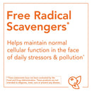 CLEARANCE! NOW Foods Grape Seed Extract 500 mg 90 Vcaps, BEST BY 11/2025 - DailyVita