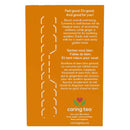 NOW Foods Organic Turmeric Ginger Tea 24 Tea Bags - DailyVita