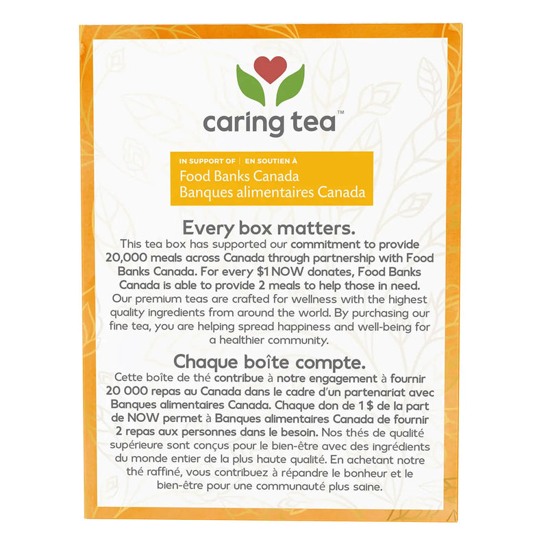 NOW Foods Organic Turmeric Ginger Tea 24 Tea Bags - DailyVita